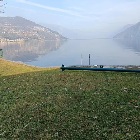Zu - Lakeside