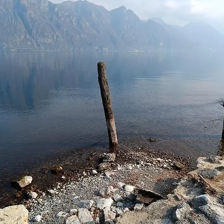 Zu - Lakeside
