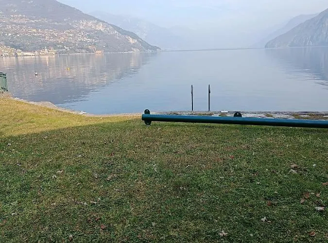 Zu - Lakeside
