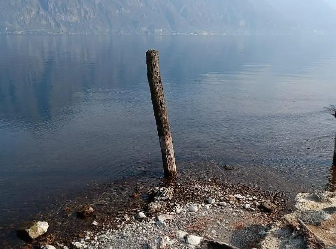 Zu - Lakeside